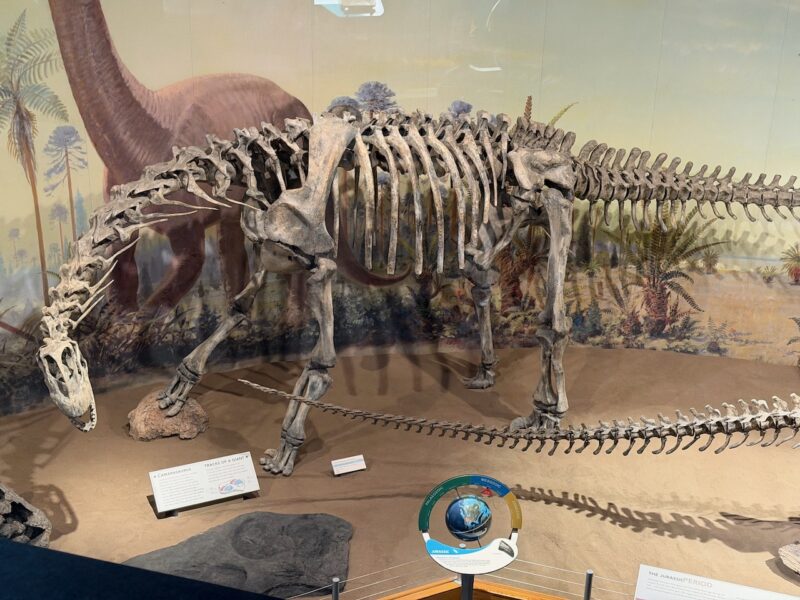 PlanetSKI Heads to Dinosaur Country
